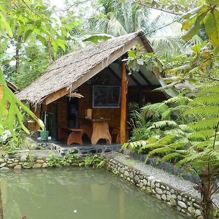 Magpie Homestay & Jungle Trekking Especially For Guest Trekking With Us Bukit Lawang Eksteriør bilde