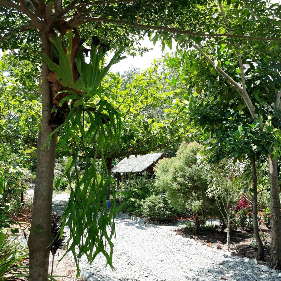Magpie Homestay & Jungle Trekking Especially For Guest Trekking With Us Bukit Lawang Eksteriør bilde