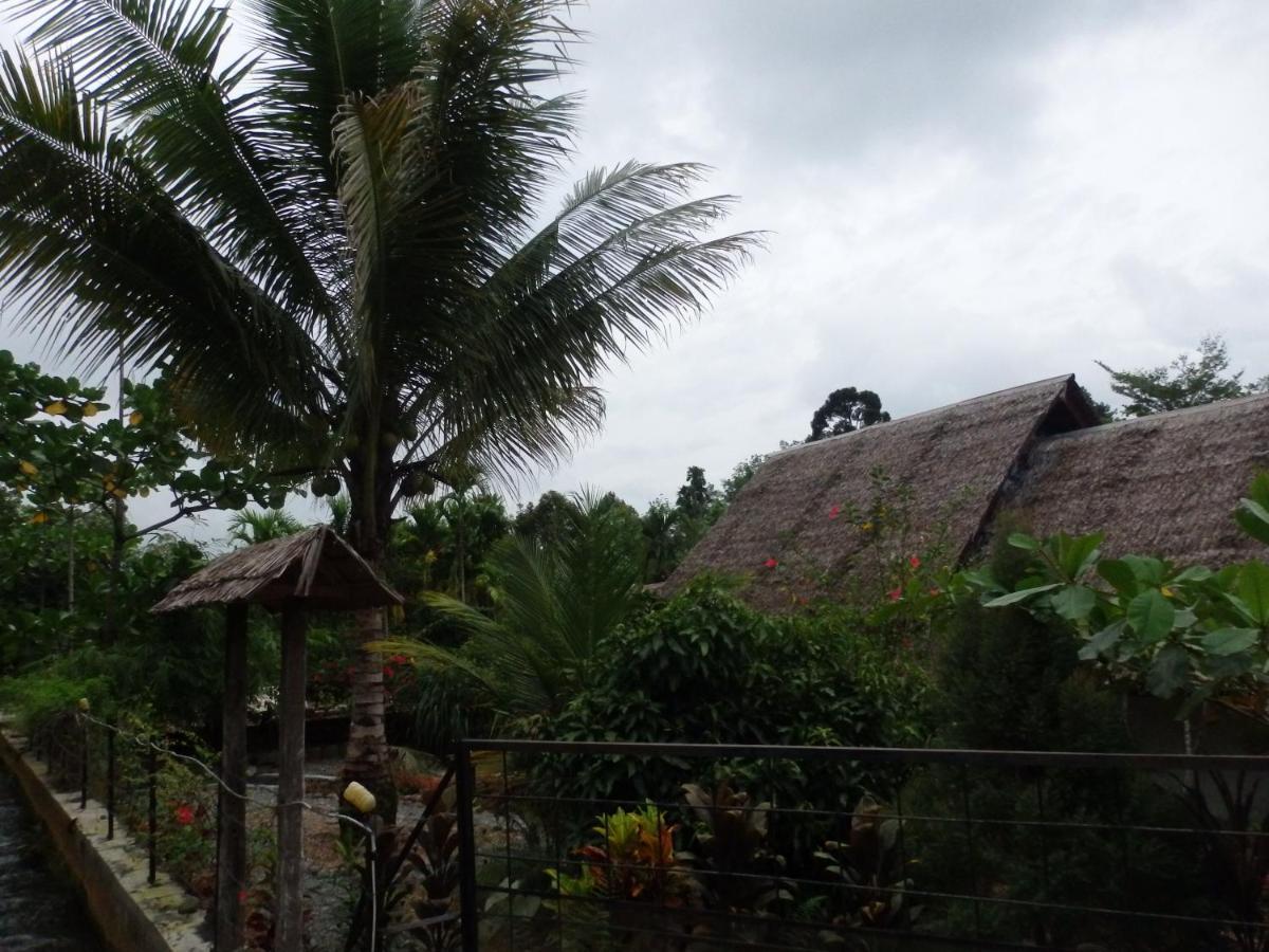 Magpie Homestay & Jungle Trekking Especially For Guest Trekking With Us Bukit Lawang Eksteriør bilde