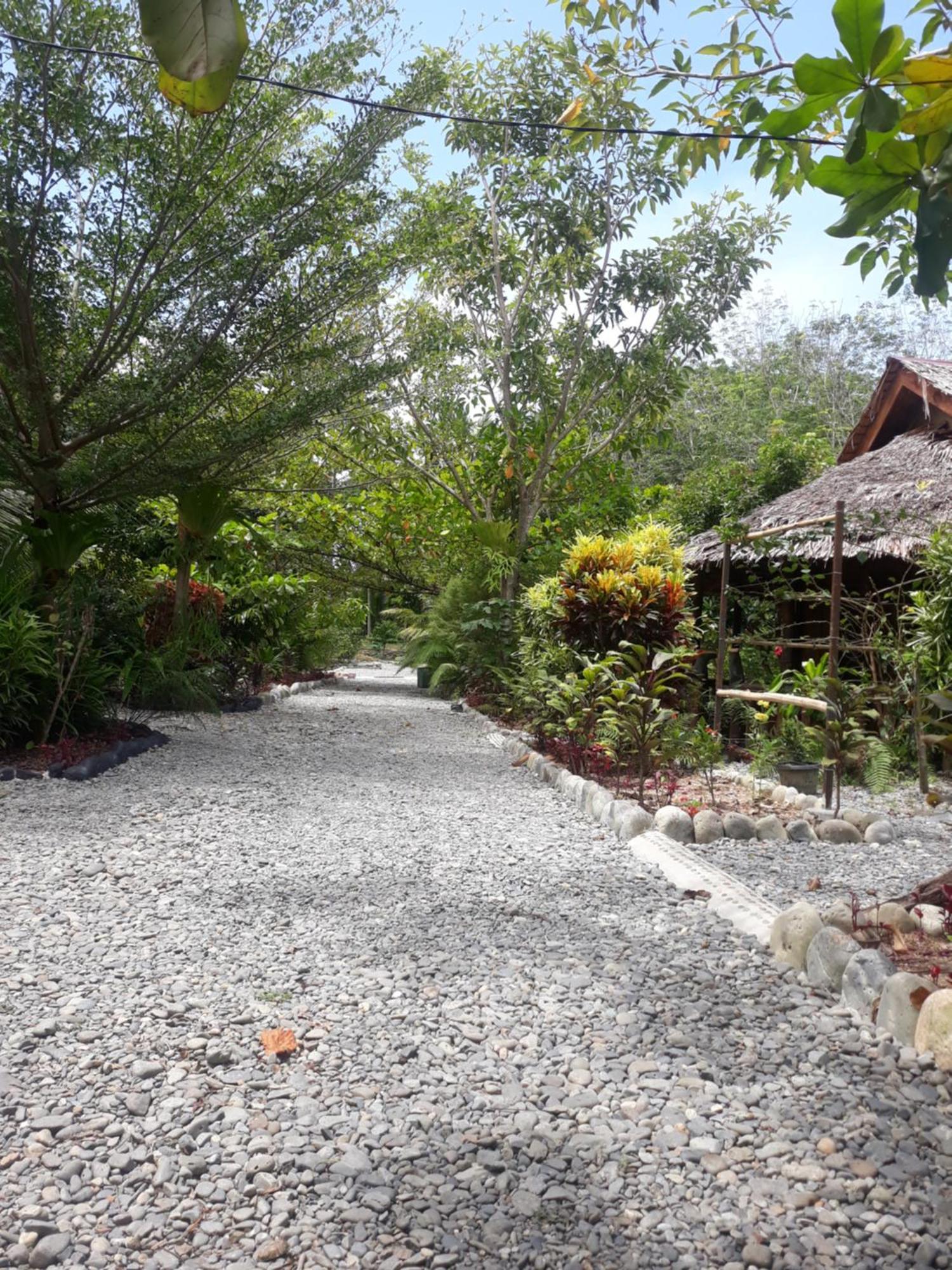 Magpie Homestay & Jungle Trekking Especially For Guest Trekking With Us Bukit Lawang Eksteriør bilde