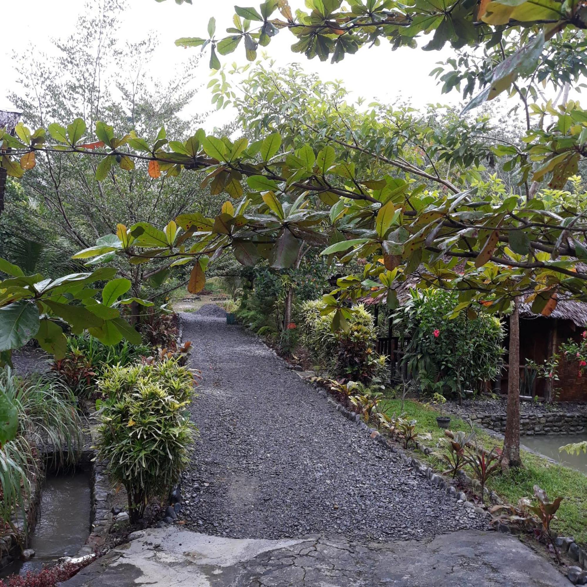 Magpie Homestay & Jungle Trekking Especially For Guest Trekking With Us Bukit Lawang Rom bilde