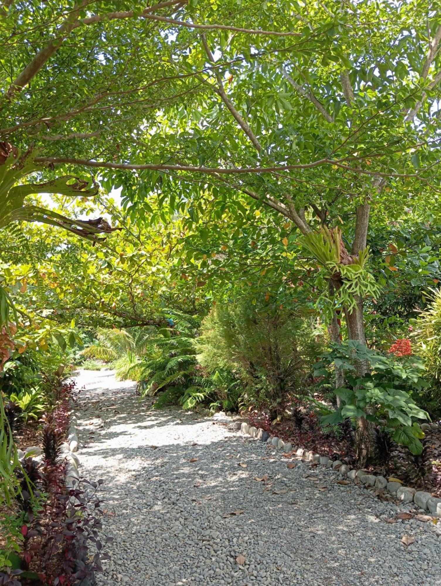 Magpie Homestay & Jungle Trekking Especially For Guest Trekking With Us Bukit Lawang Eksteriør bilde