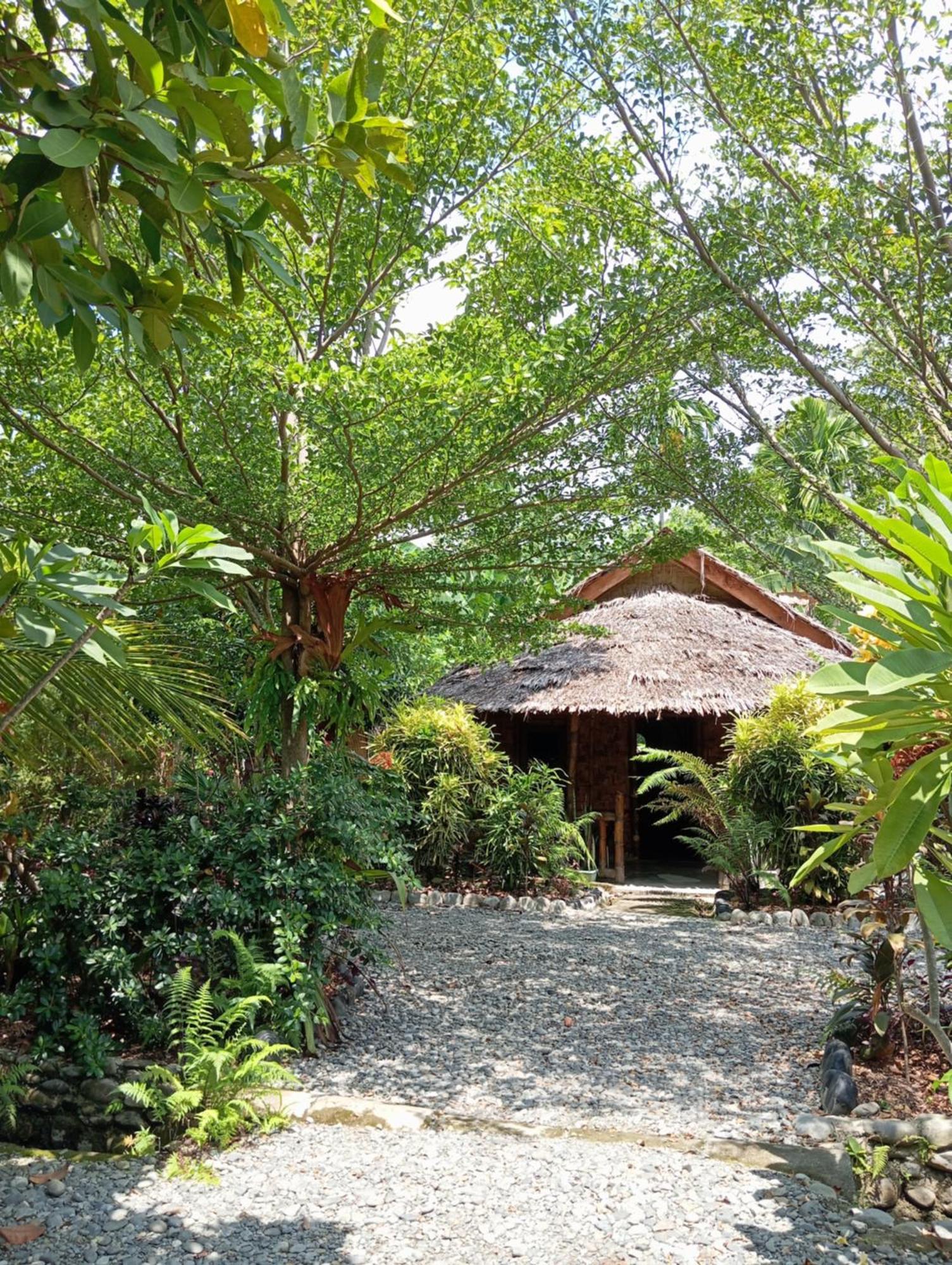 Magpie Homestay & Jungle Trekking Especially For Guest Trekking With Us Bukit Lawang Eksteriør bilde