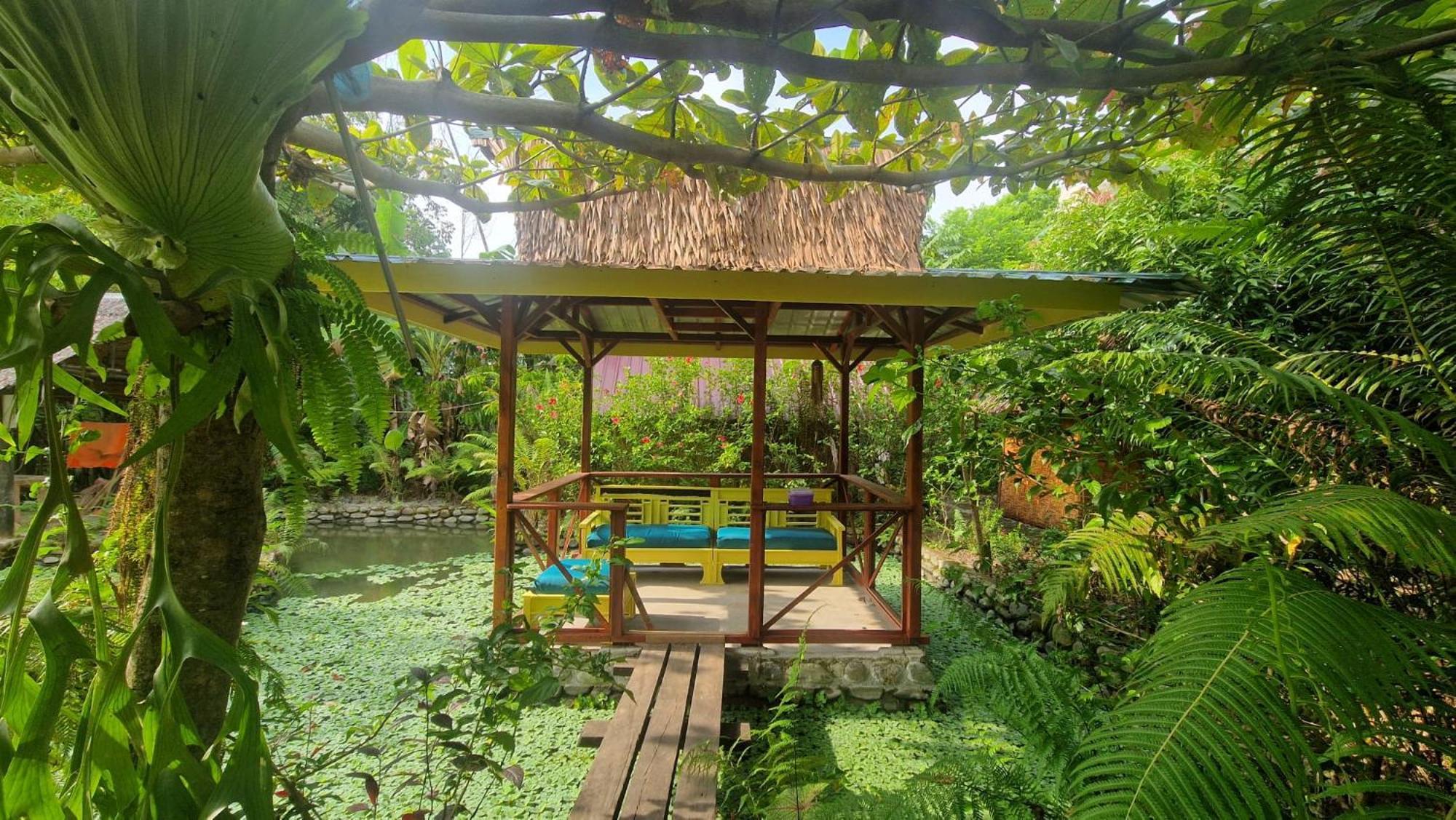 Magpie Homestay & Jungle Trekking Especially For Guest Trekking With Us Bukit Lawang Eksteriør bilde
