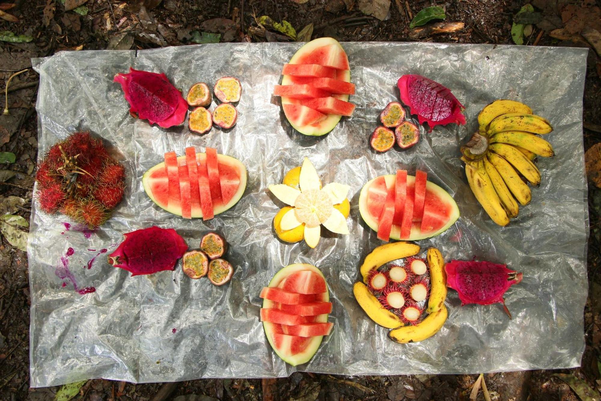 Magpie Homestay & Jungle Trekking Especially For Guest Trekking With Us Bukit Lawang Eksteriør bilde