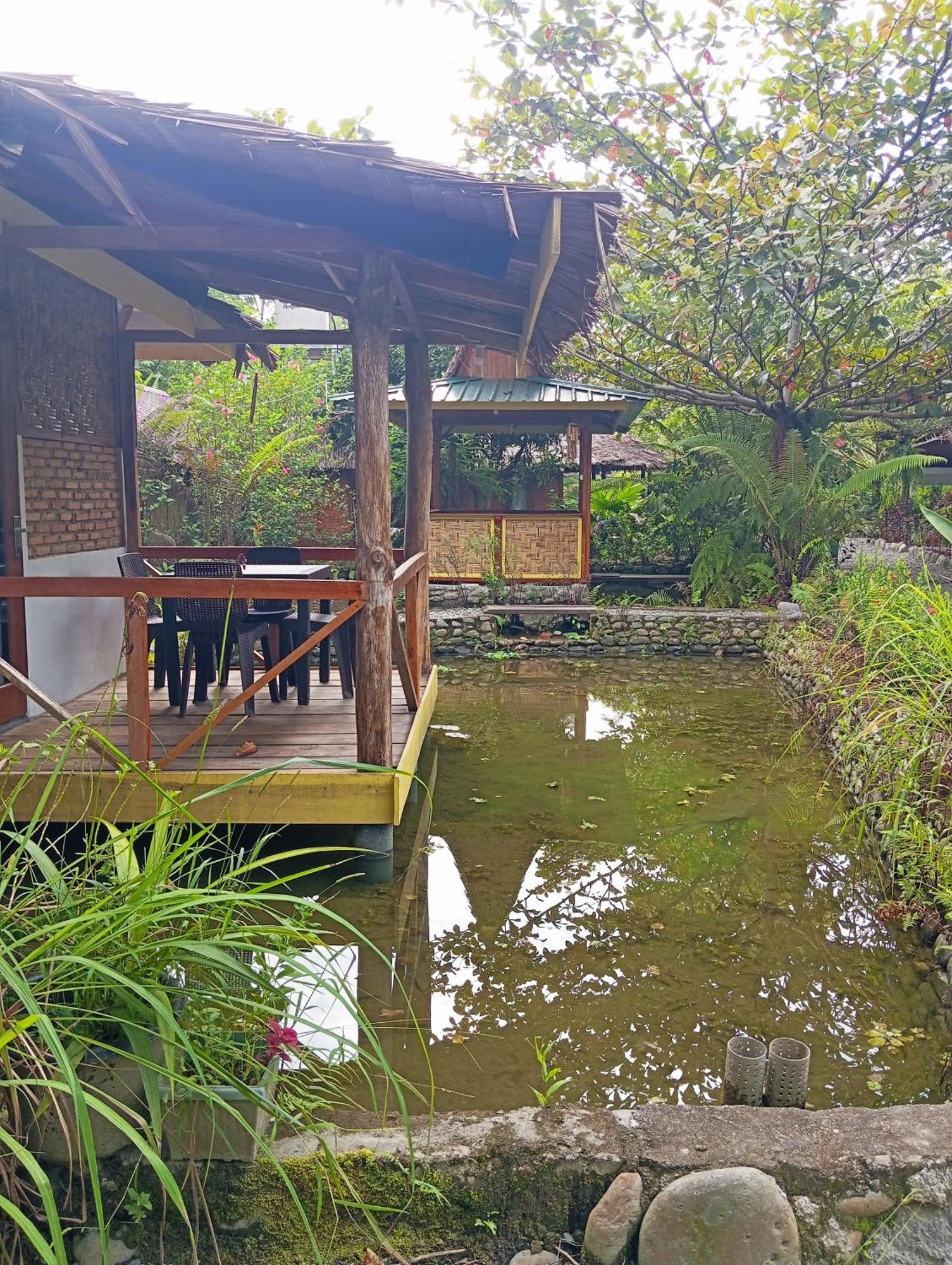 Magpie Homestay & Jungle Trekking Especially For Guest Trekking With Us Bukit Lawang Rom bilde
