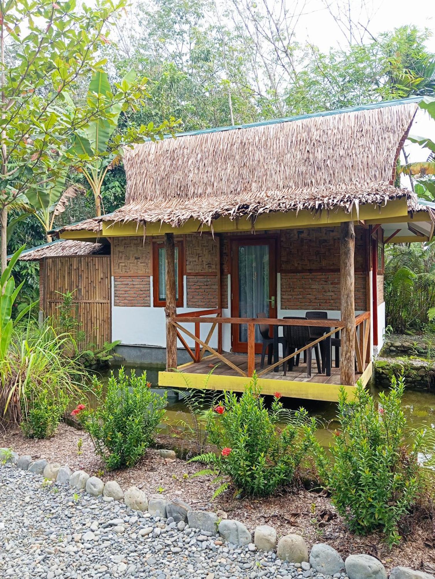 Magpie Homestay & Jungle Trekking Especially For Guest Trekking With Us Bukit Lawang Eksteriør bilde