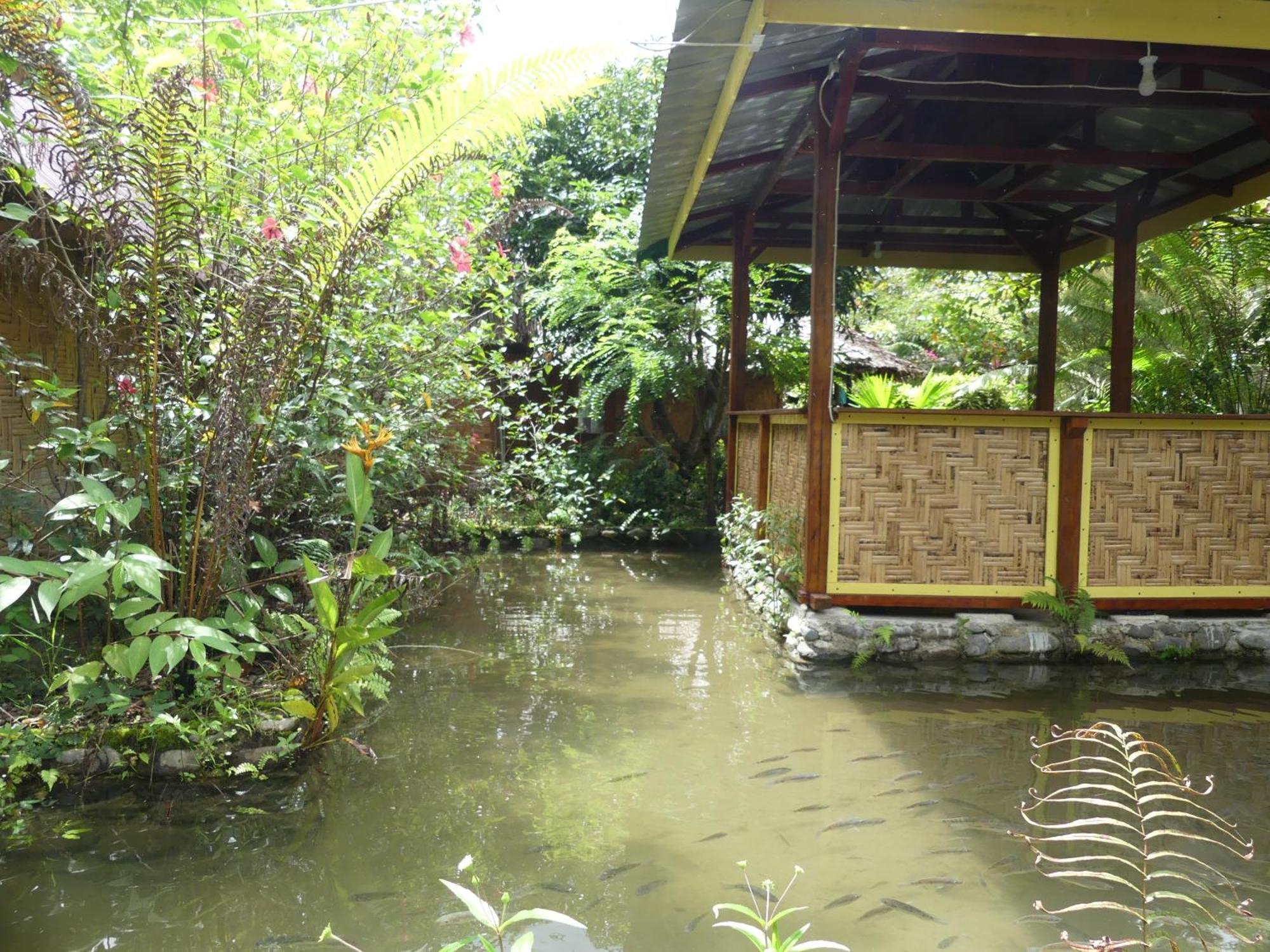 Magpie Homestay & Jungle Trekking Especially For Guest Trekking With Us Bukit Lawang Rom bilde