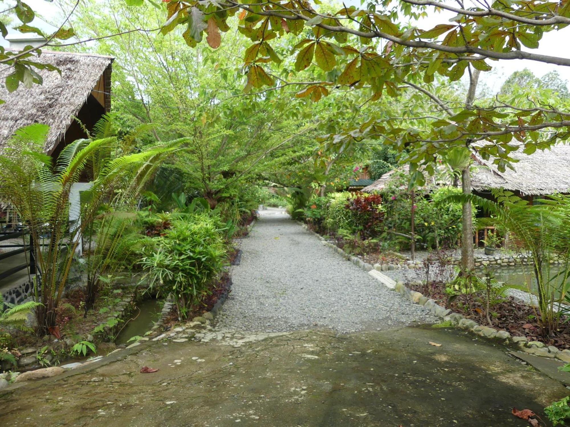 Magpie Homestay & Jungle Trekking Especially For Guest Trekking With Us Bukit Lawang Eksteriør bilde