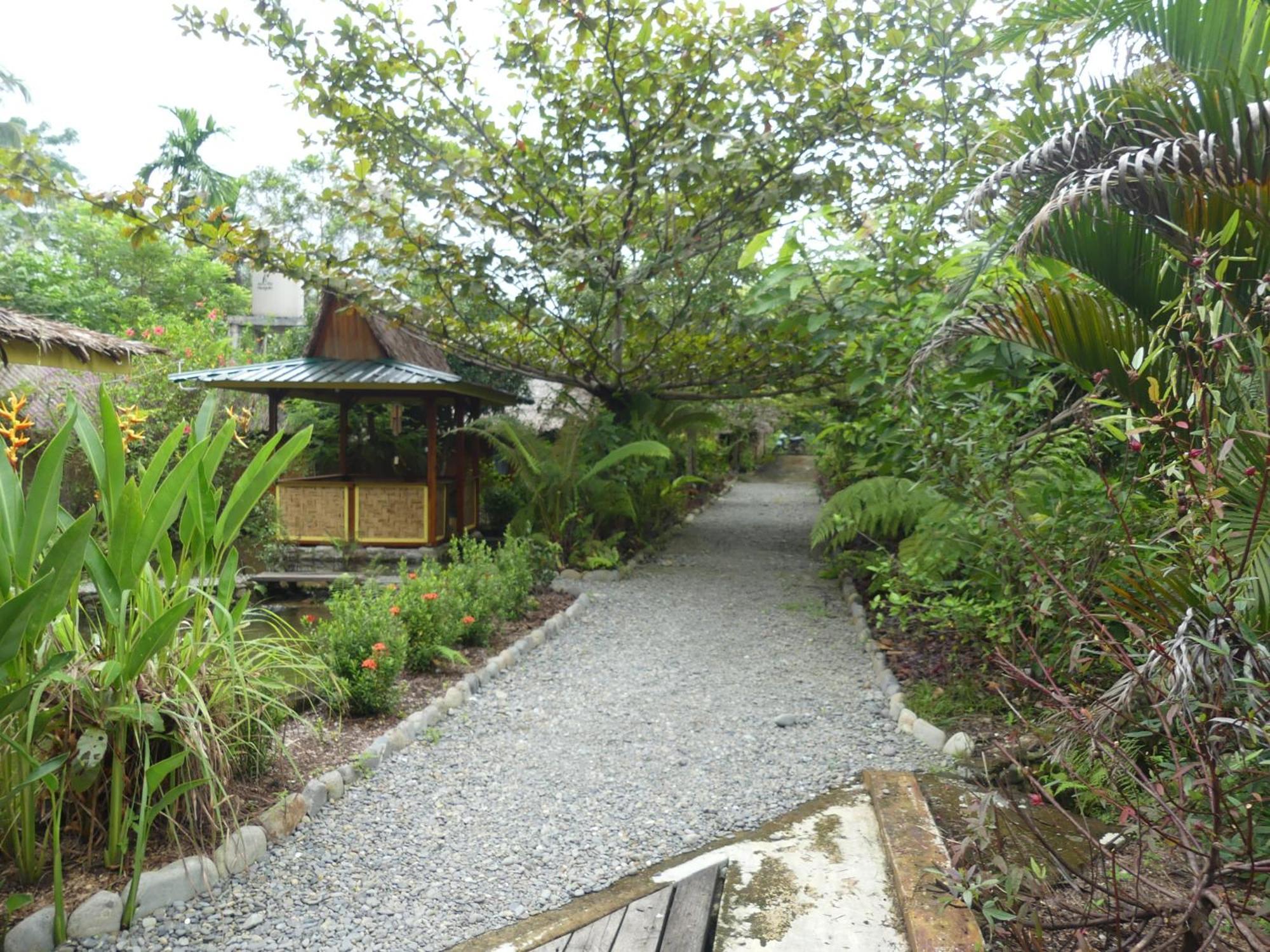Magpie Homestay & Jungle Trekking Especially For Guest Trekking With Us Bukit Lawang Rom bilde