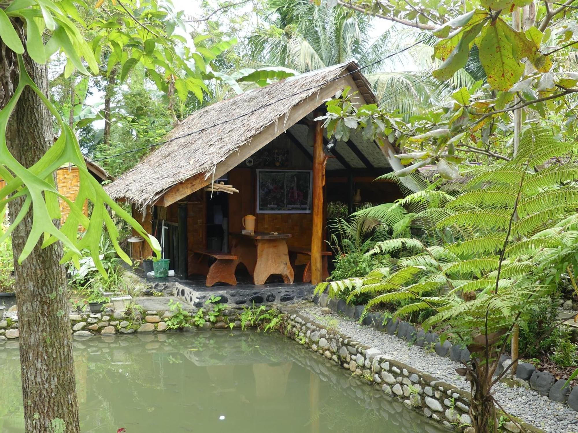 Magpie Homestay & Jungle Trekking Especially For Guest Trekking With Us Bukit Lawang Eksteriør bilde